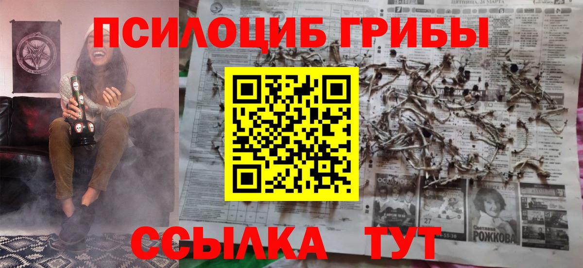 Галлюциногенные грибы Cubensis  Псилоцибиновые грибы Cubensis  Химки  Вход с VPN 