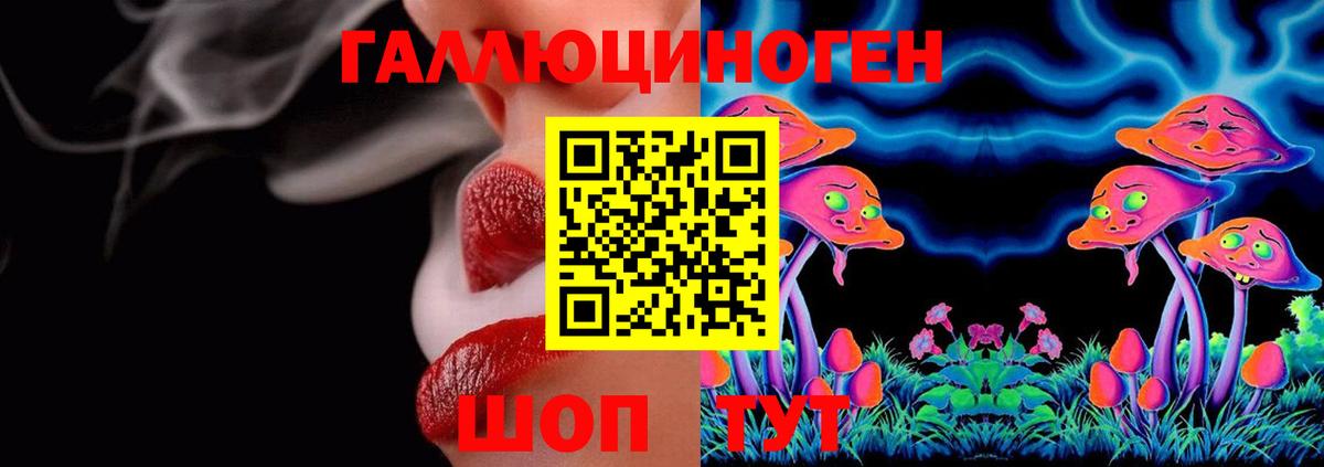 Галлюциногенные грибы Psilocybe Химки